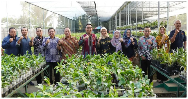 cover-berita